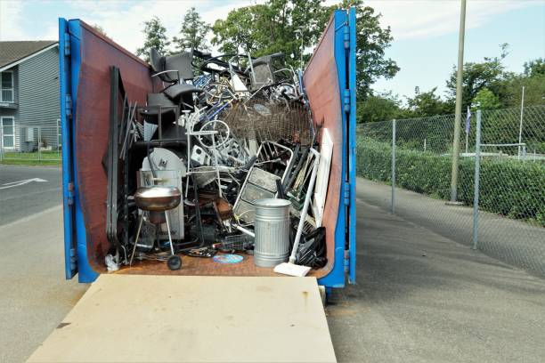 Best Yard Cleanup Services  in Demopolis, AL