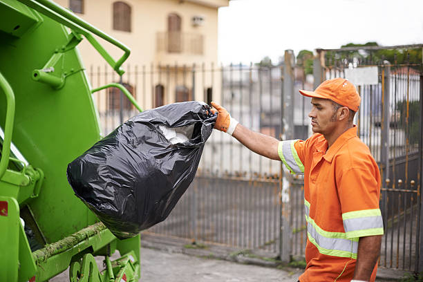 Best Electronics Removal Services  in Demopolis, AL